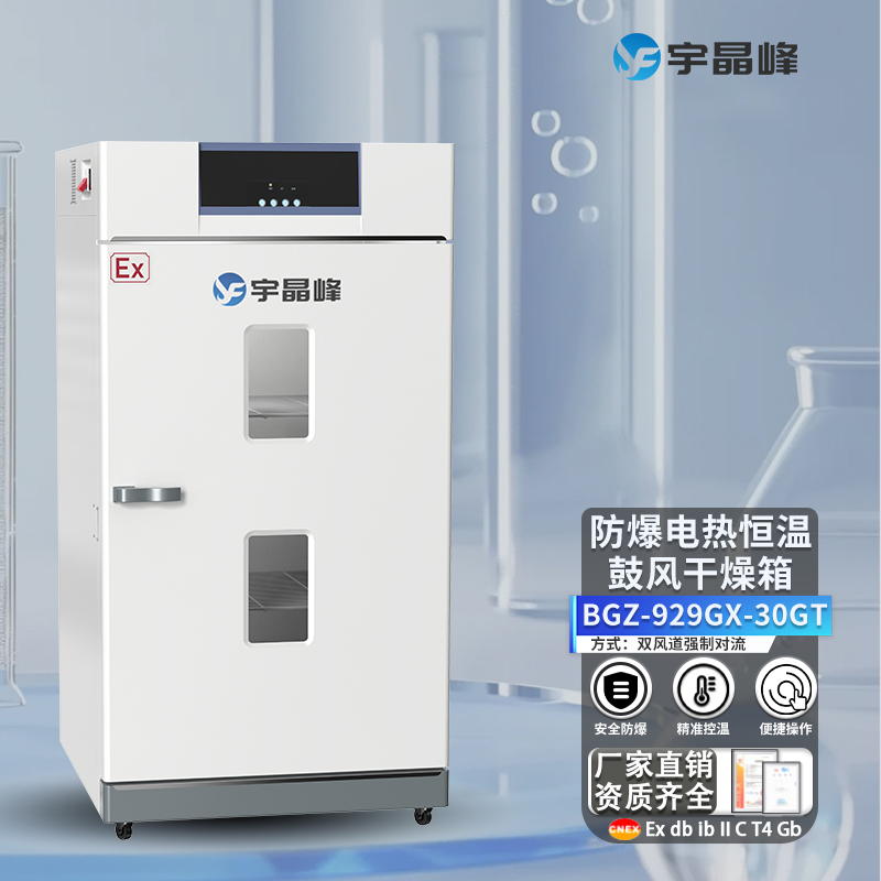 防爆電熱恒溫鼓風干燥箱（D/L/T)款